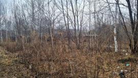 , Хабаровск