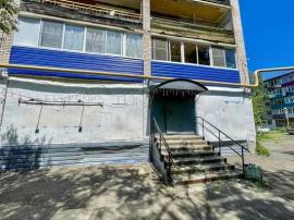 , Амурский район