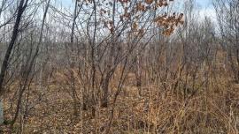 , Хабаровск